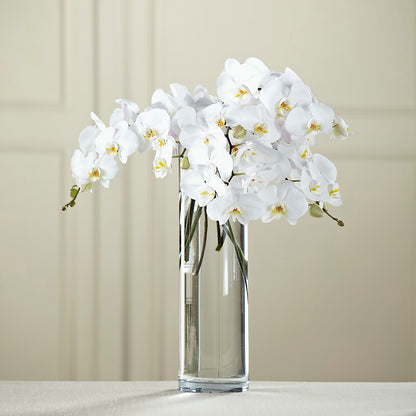White Phalaenopsis Bouquet –  Life Of A Flower, Dallas TX