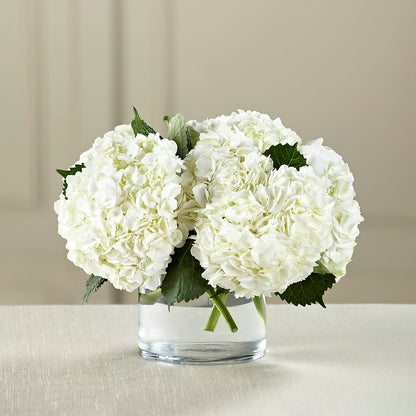 White Hydrangea Bouquet –  Life Of A Flower, Dallas TX